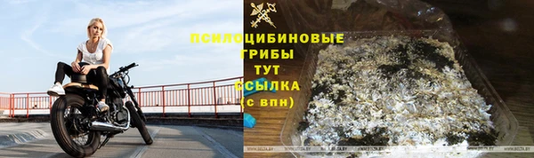 ПСИЛОЦИБИНОВЫЕ ГРИБЫ Арсеньев