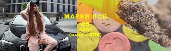 ПСИЛОЦИБИНОВЫЕ ГРИБЫ Арсеньев