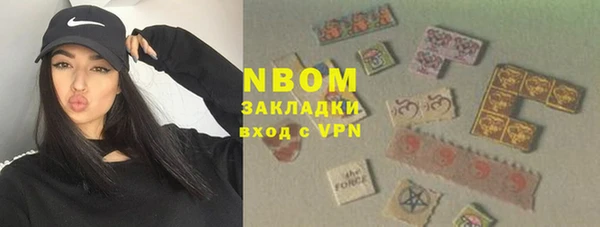ПСИЛОЦИБИНОВЫЕ ГРИБЫ Арсеньев