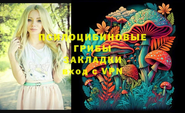 ПСИЛОЦИБИНОВЫЕ ГРИБЫ Арсеньев