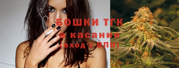 ПСИЛОЦИБИНОВЫЕ ГРИБЫ Арсеньев