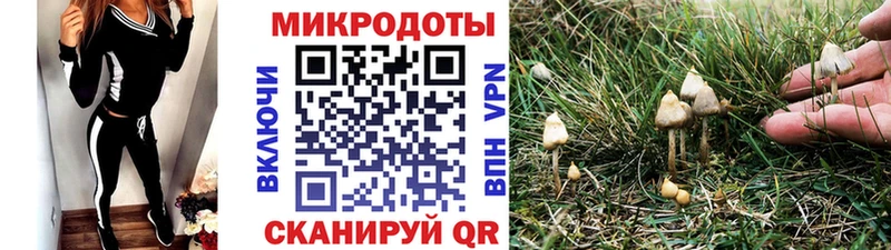 Купить где  Сосногорск  Галлюциногенные грибы прущие грибы 